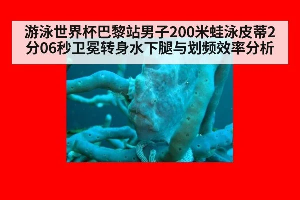 游泳世界杯巴黎站男子200米蛙泳皮蒂2分06秒卫冕转身水下腿与划频效率分析
