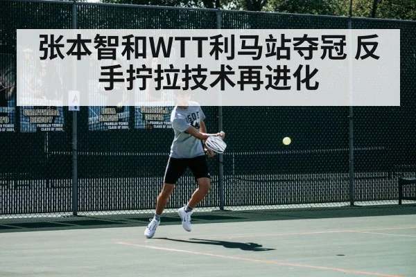 张本智和WTT利马站夺冠 反手拧拉技术再进化